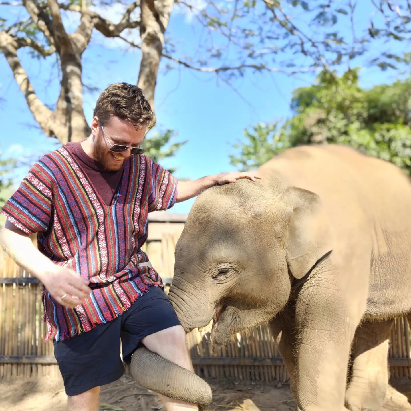 Playing with a baby elephant in Thailand